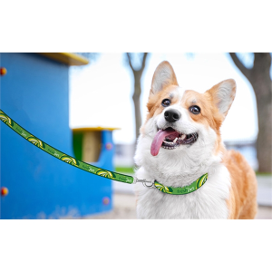 Full-Color Leash