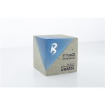 Atlas Award - Concrete and Resin Cube 3.5"